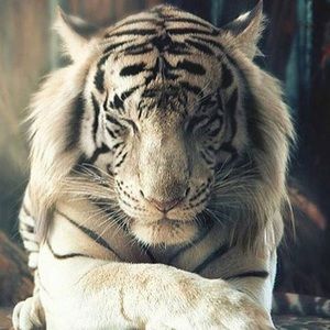 Meet your Posher, Hiro